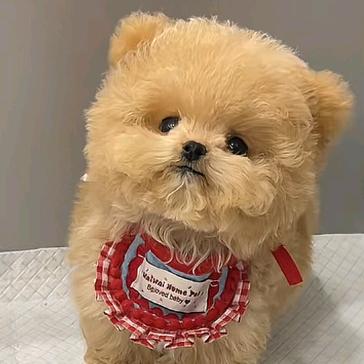 解答小助理 🌏