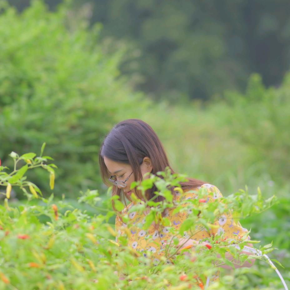 三宏新鲜蔬果店水果