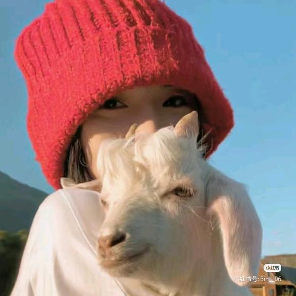 豆鲨包˚🥣˖º·˚