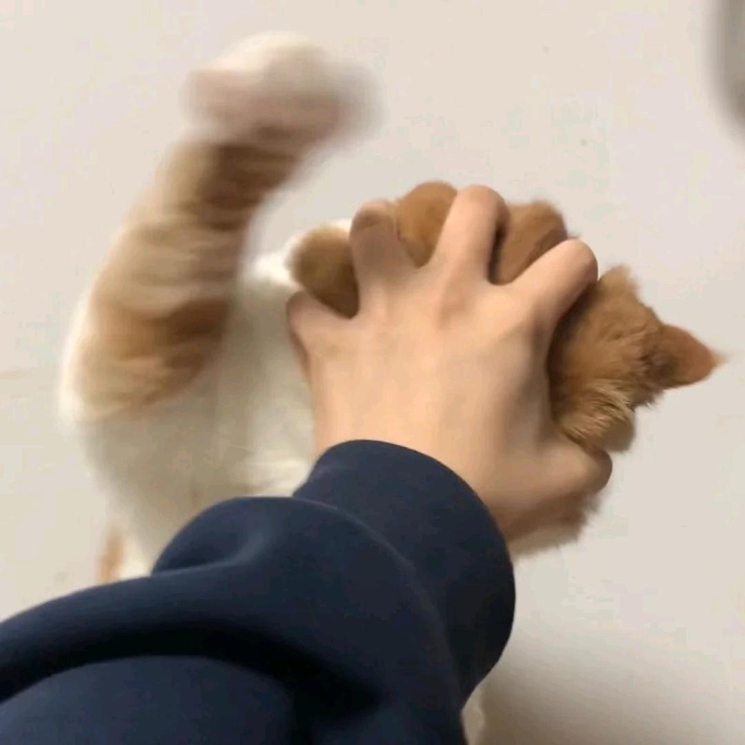 玄锦