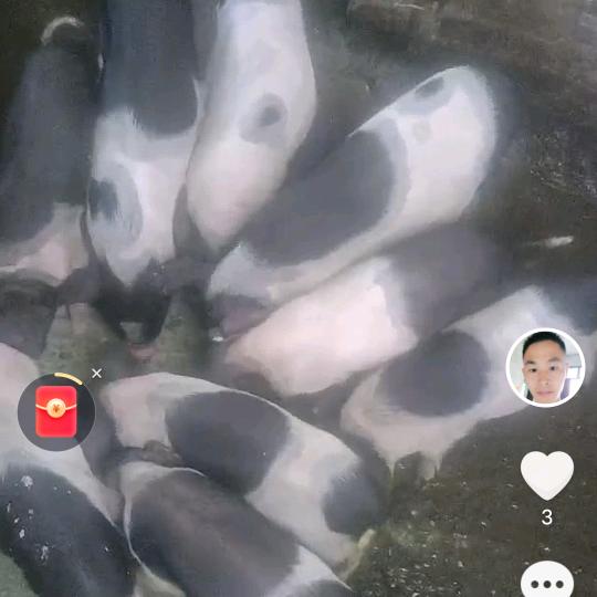 一辈子