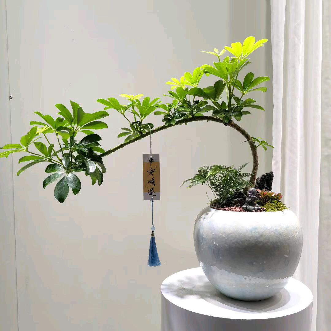 欣宏花卉坊