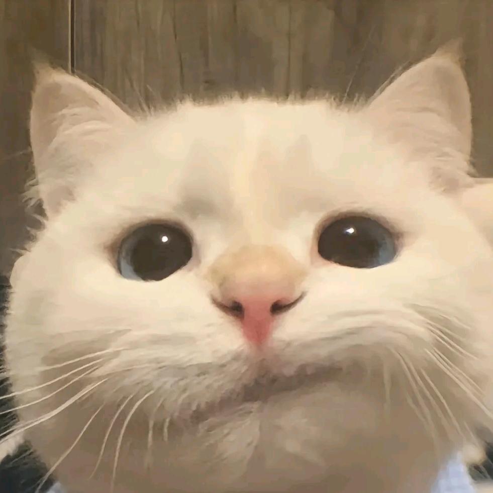 潘