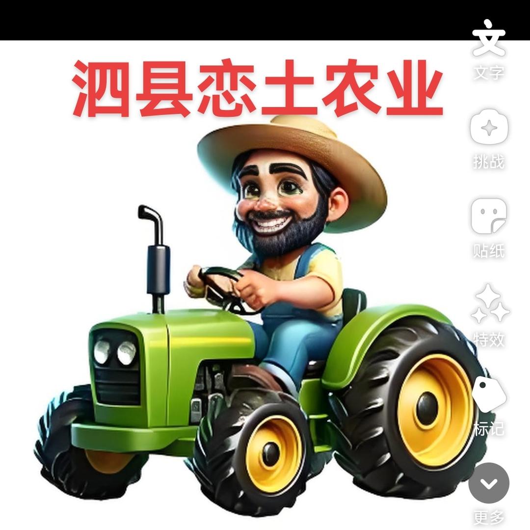 恋土农业种植合作社