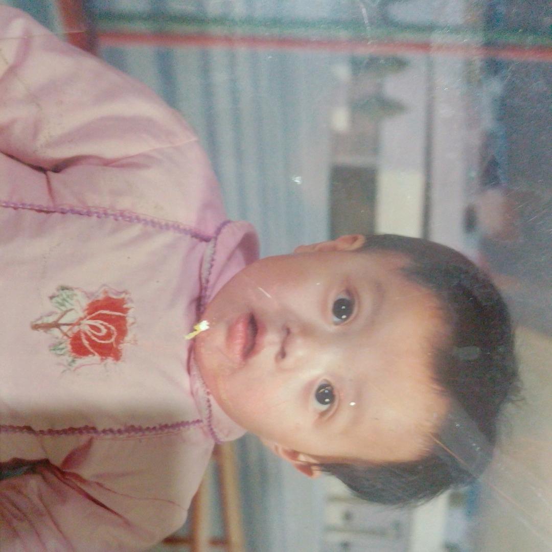 @&&@水墨嘉年华@&&@