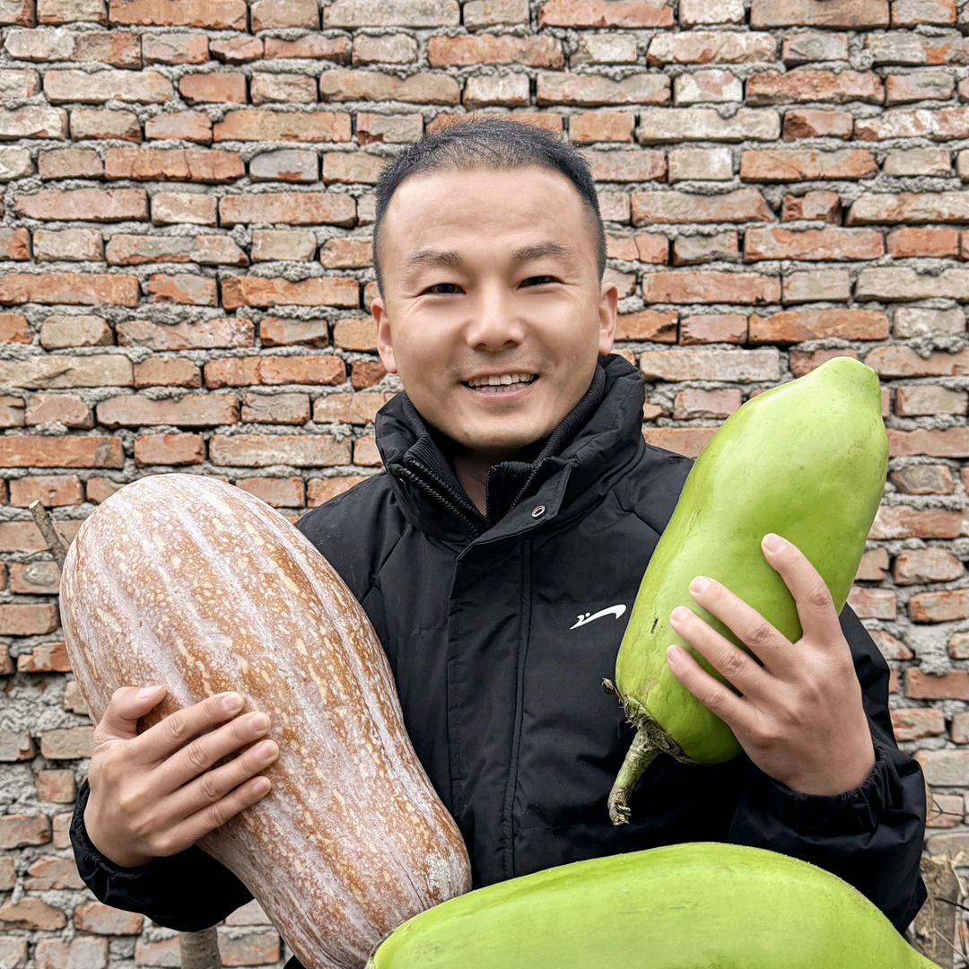 正在丰收