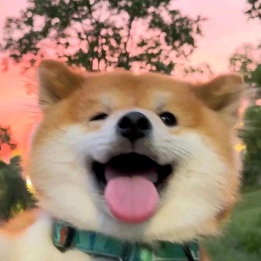 是神明啊