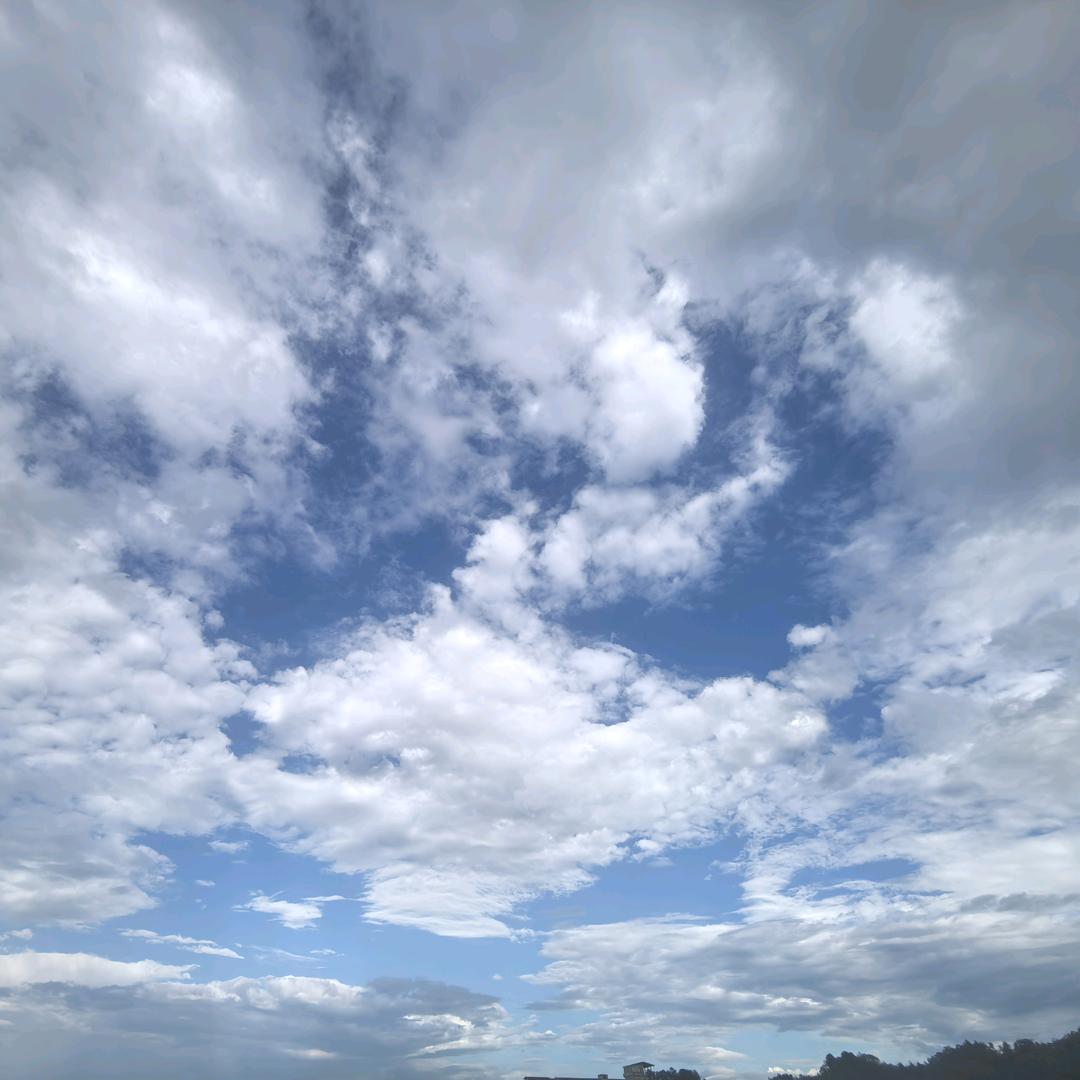 鹿哥生活号