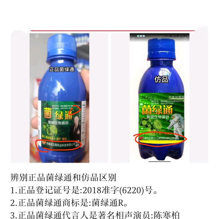 菌绿通，丰收天下