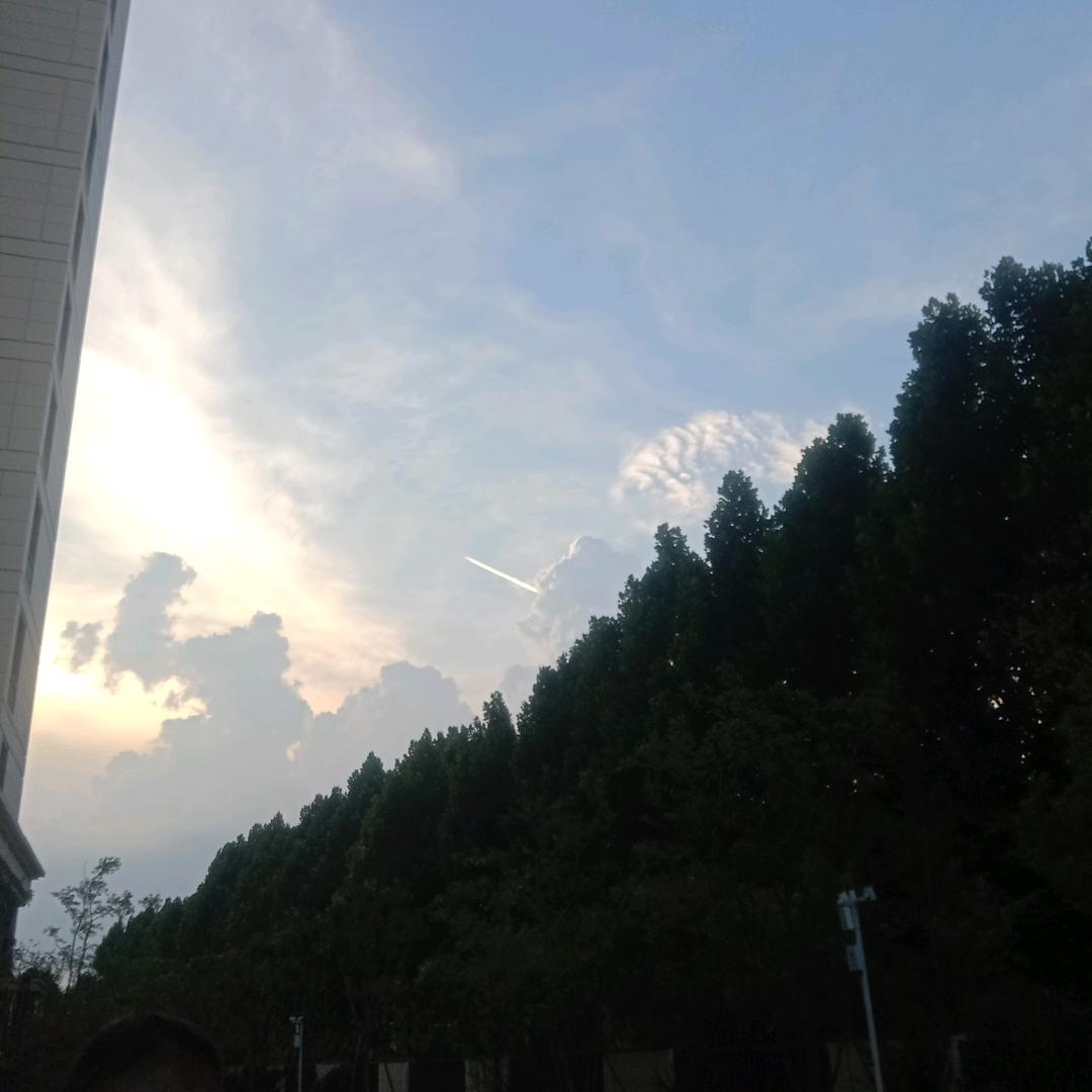 鹤壁王亮