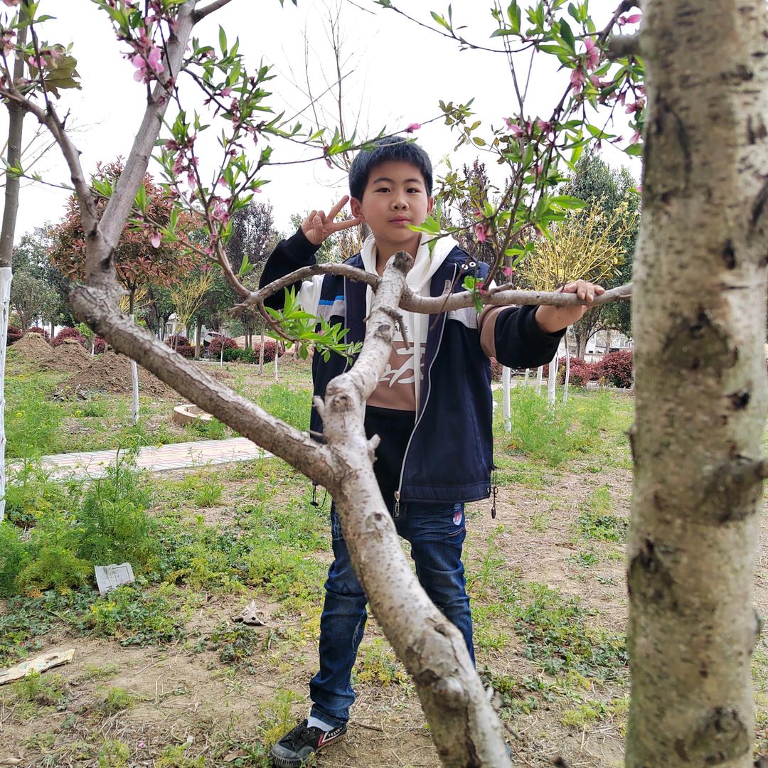 游三🌹大姐红娘🌹