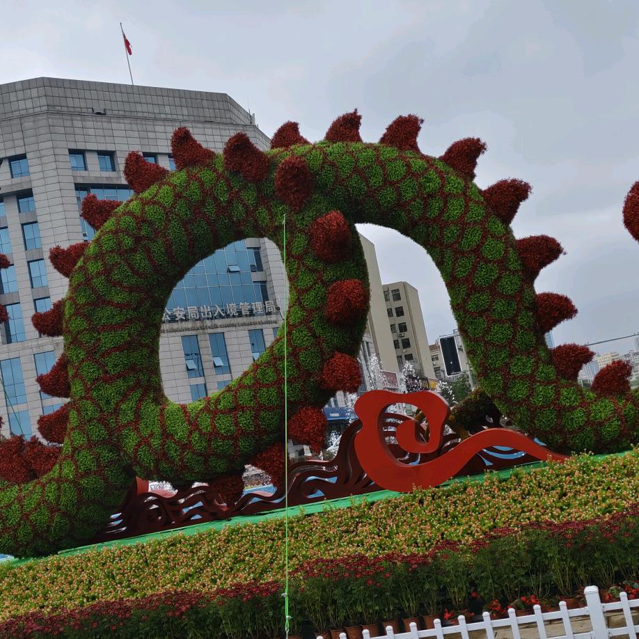 @东北健哥|｡･🎄🎄🌴🌴🍺🍺