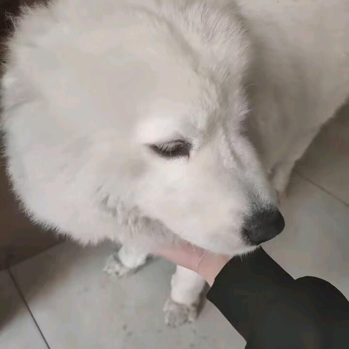 就这样吧