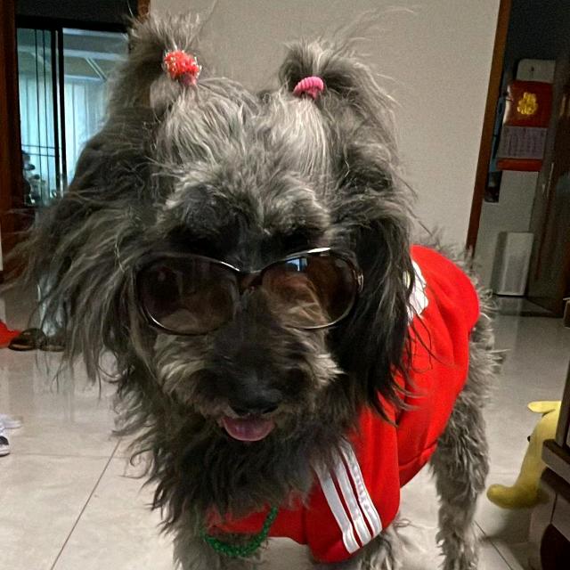 叮当老妈