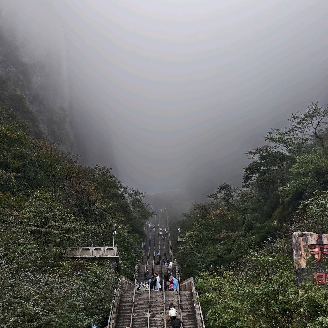 凯泽