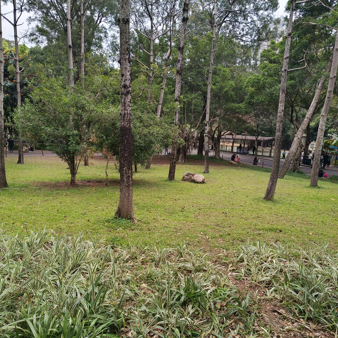 手掌心漫剪头像