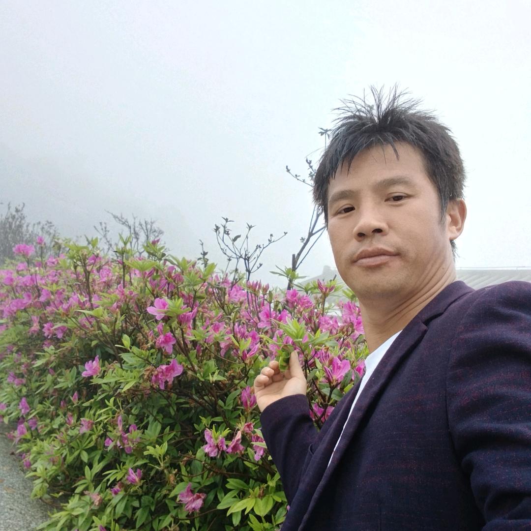 阳光的珠