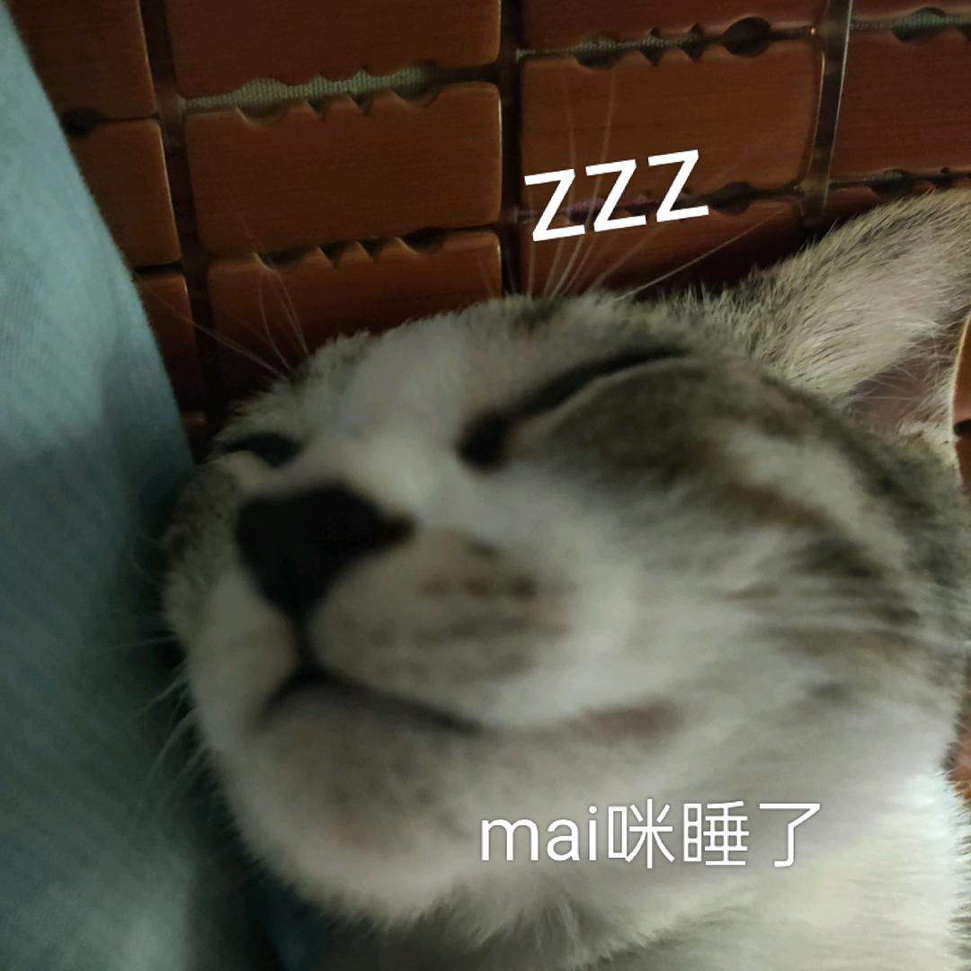 mai咪