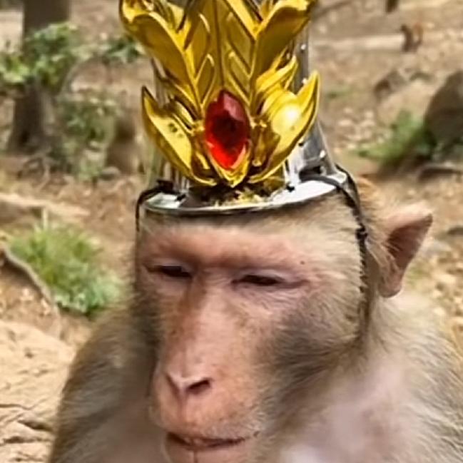 心动不如行动QQ