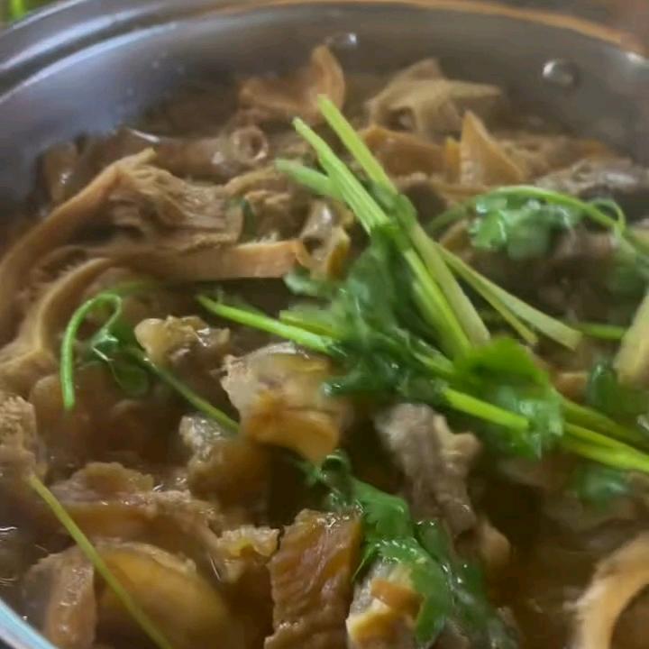 南方的狼