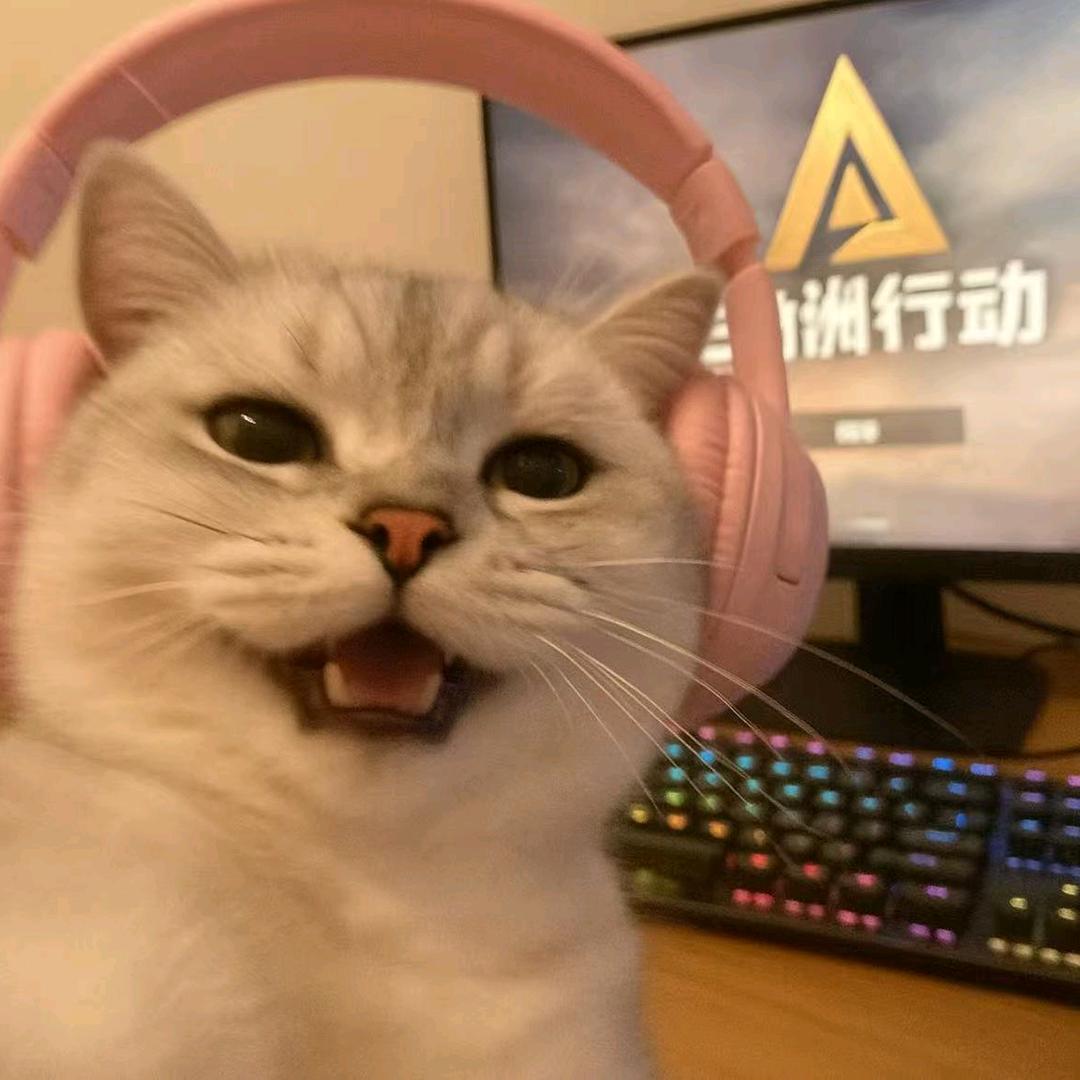 桔子电竞社（三角州）