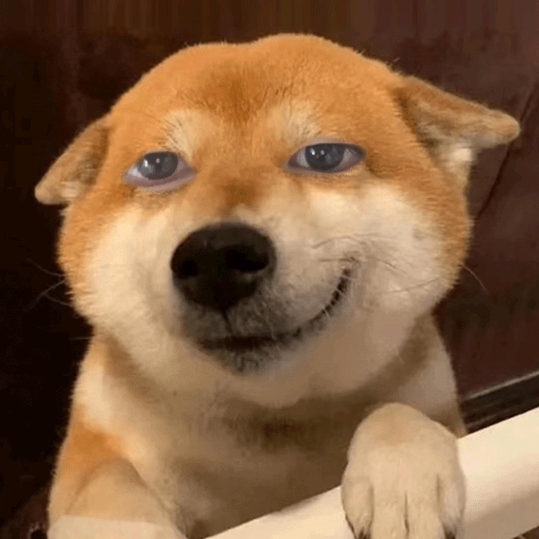 叶不休