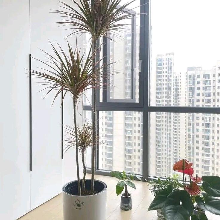 极海听雷