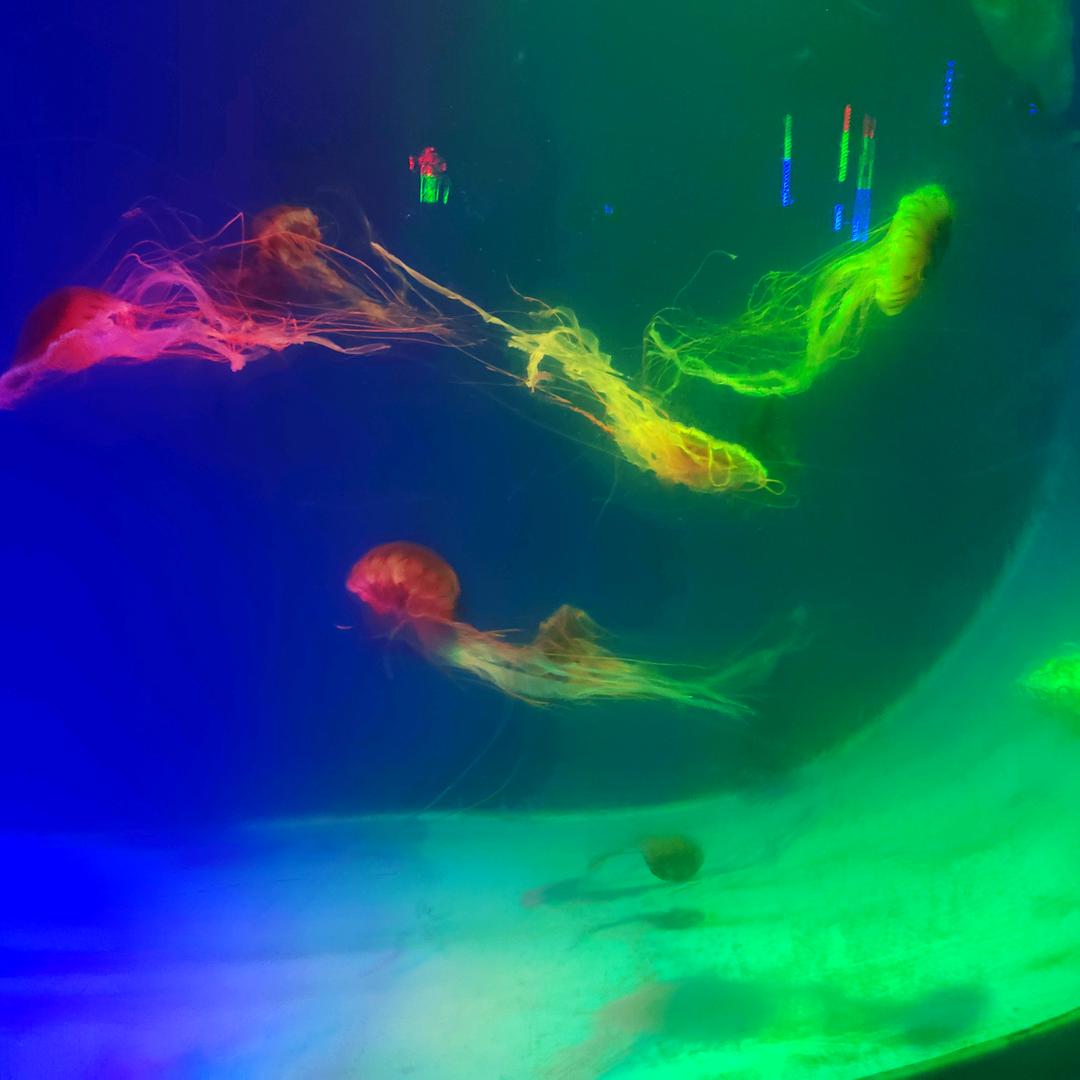 前程似锦，厚德载物