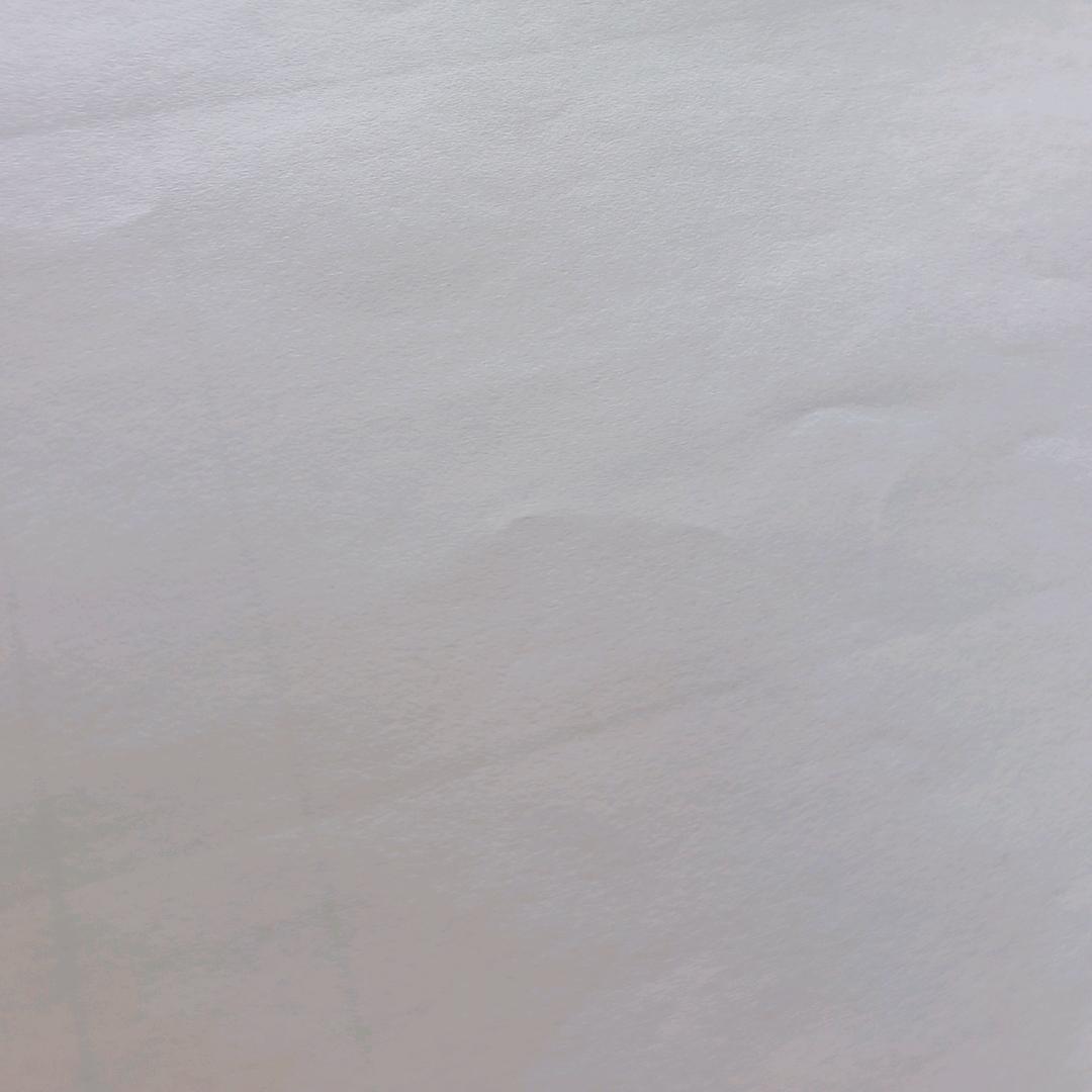 九朵大公熊
