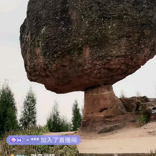 染指红颜笑