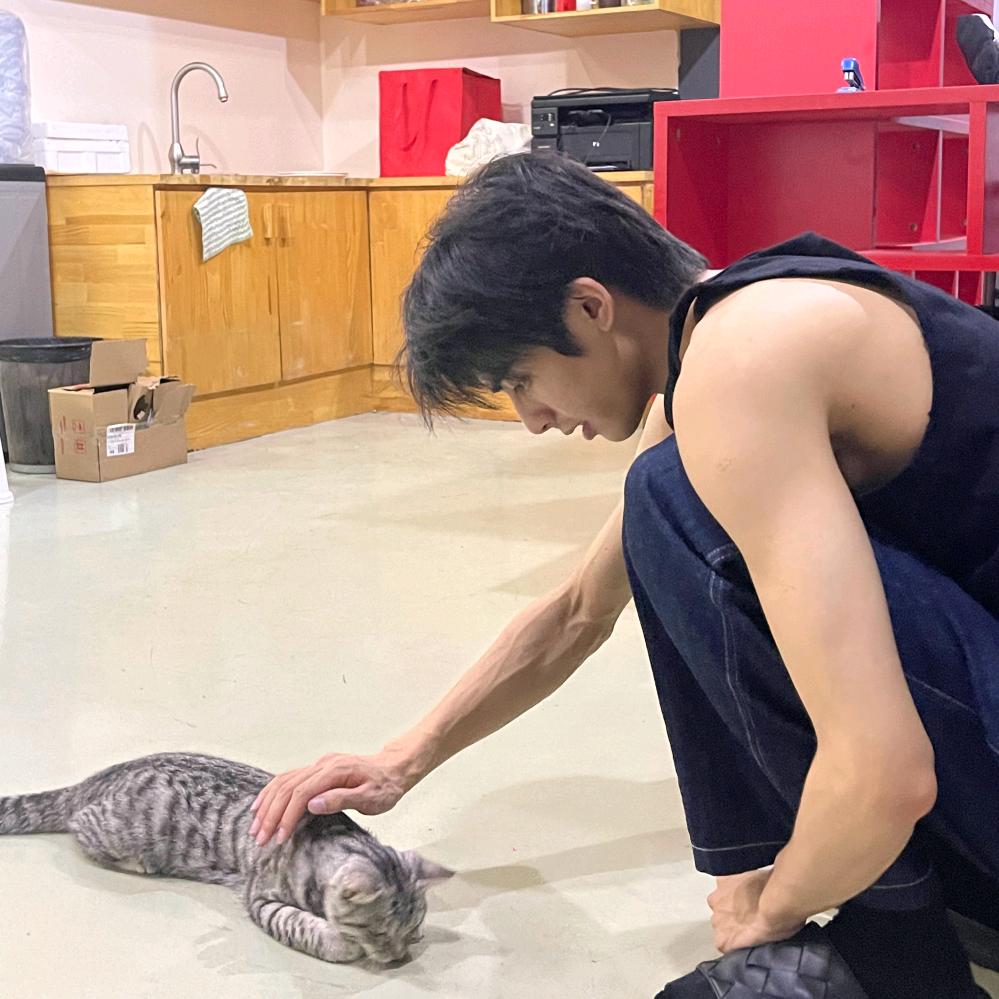 不能凶小猫