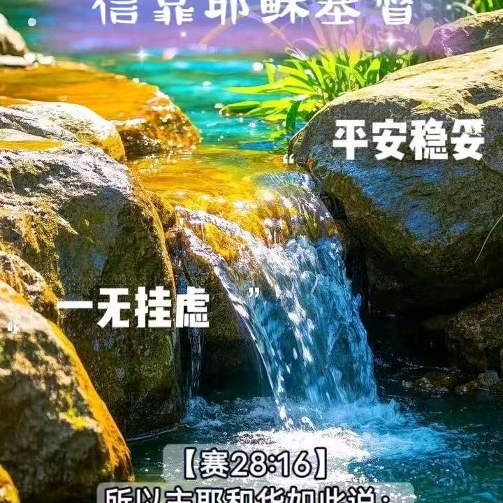 聪聪爱生活