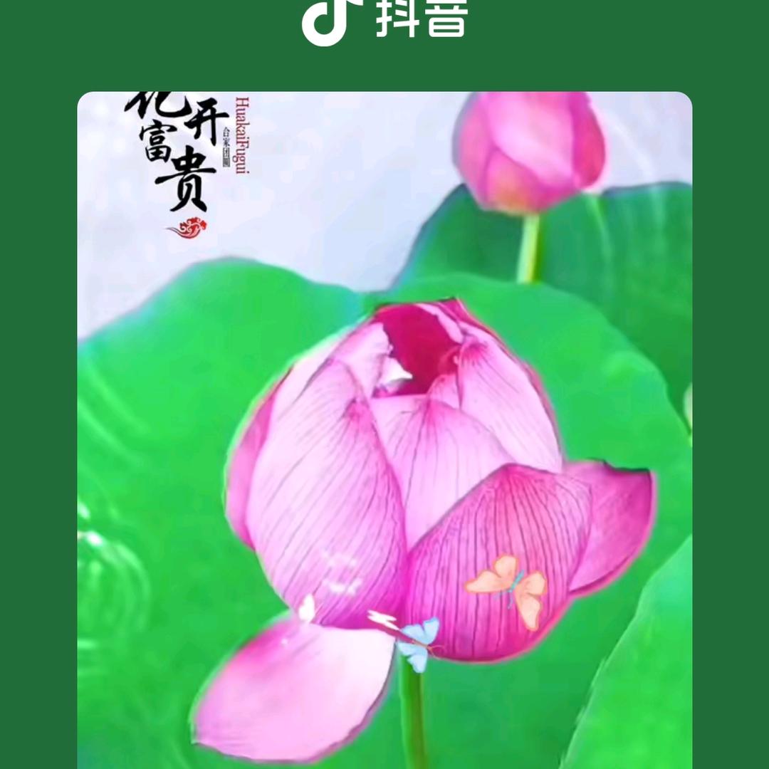 🍎阳光🍎明媚💞