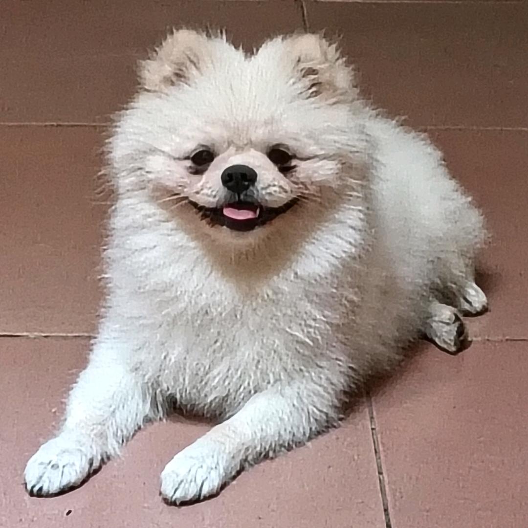 就忒你