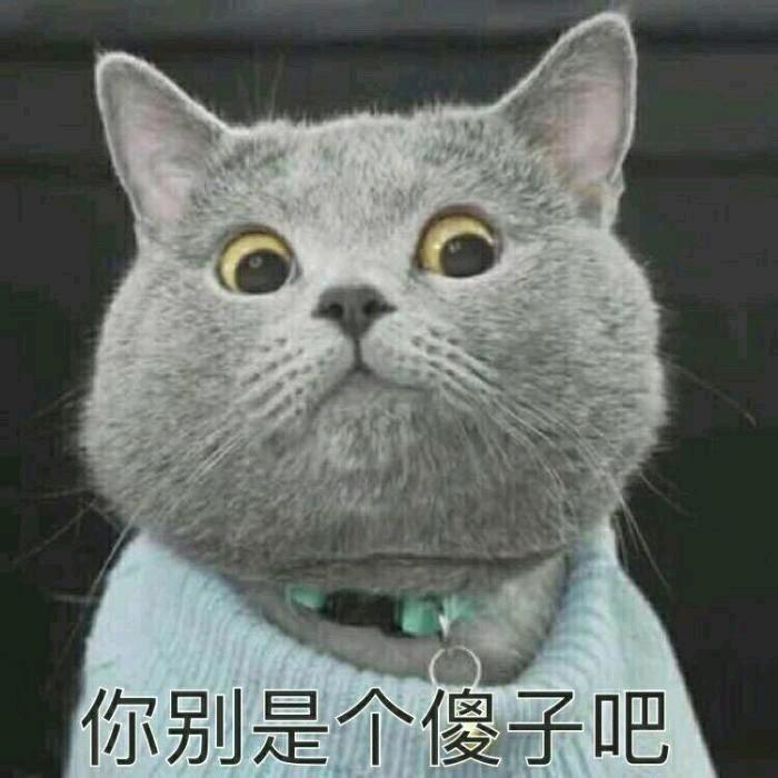 哇哦～