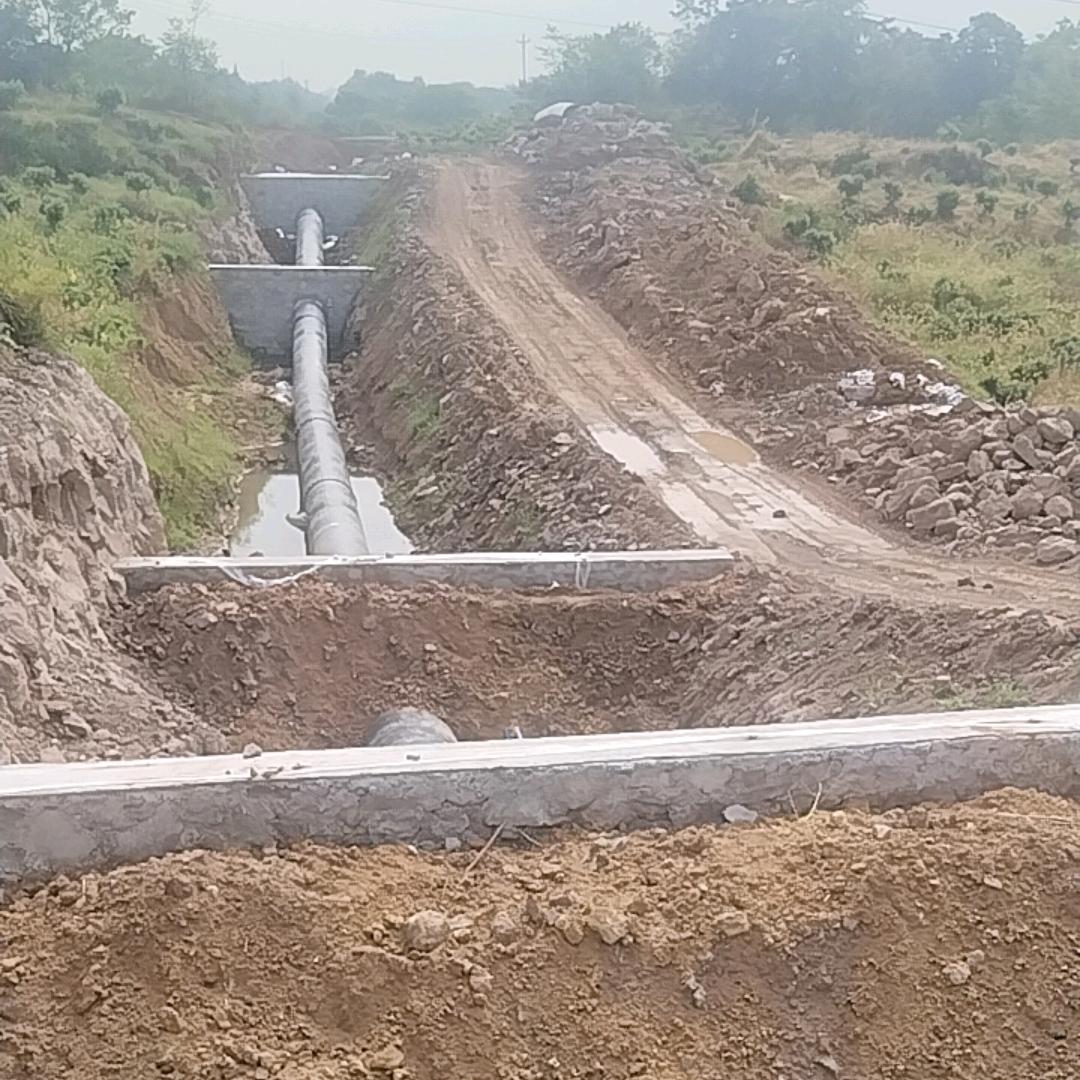 漂洋过海来看你