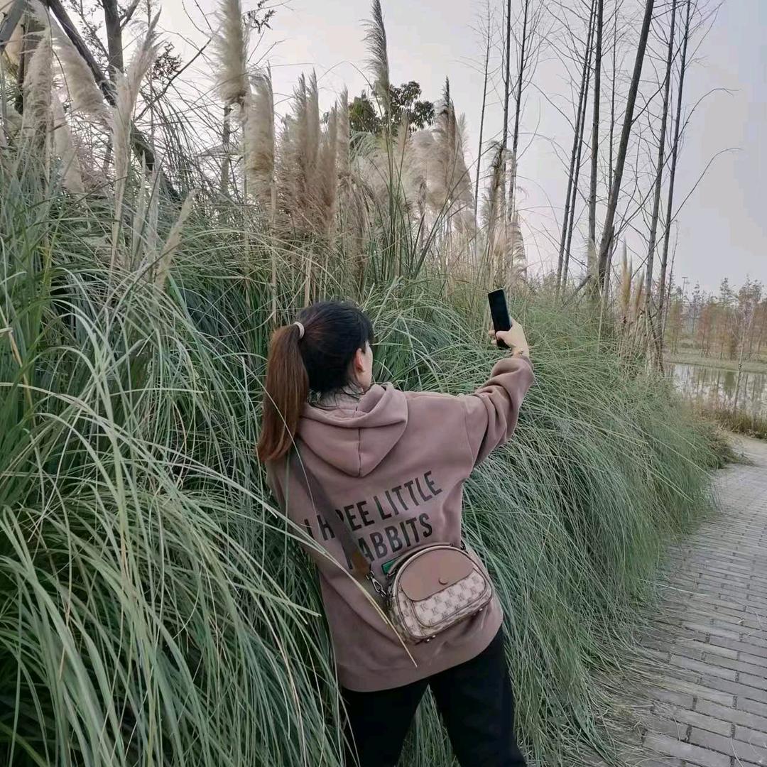 独自闯江湖