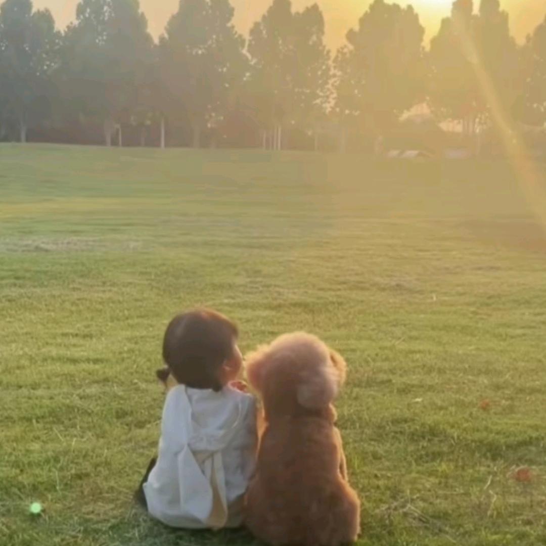 起飞了✈️(︶^︶)