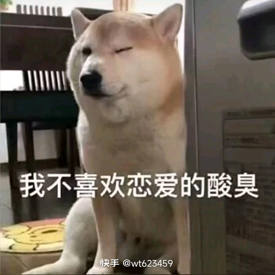 已老实求放过😅