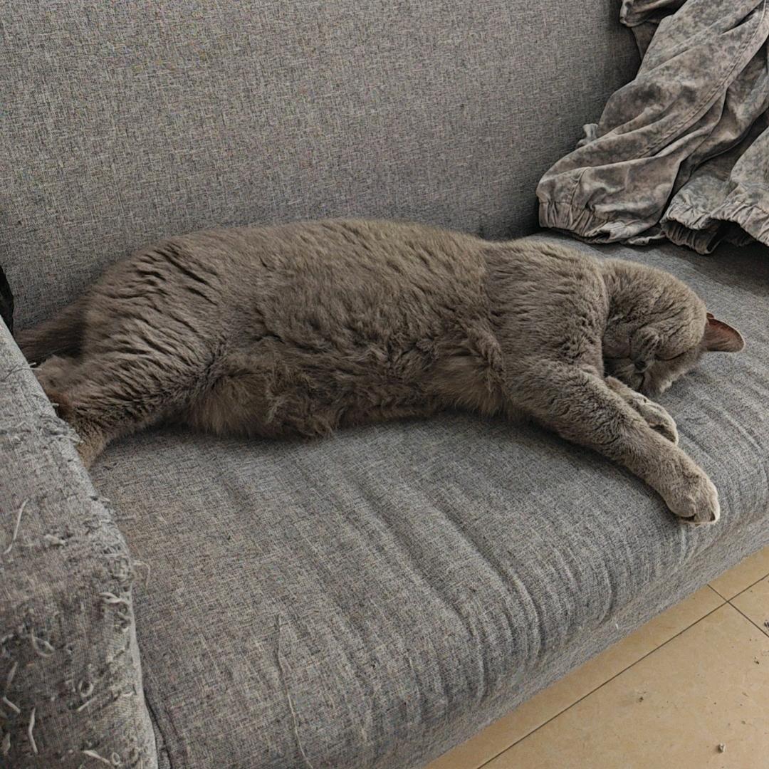 荆州芯安智能锁总代理