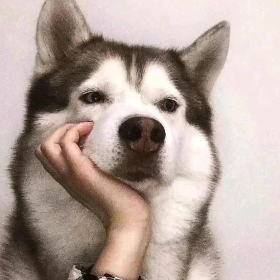 泪水打湿鸡腿饭