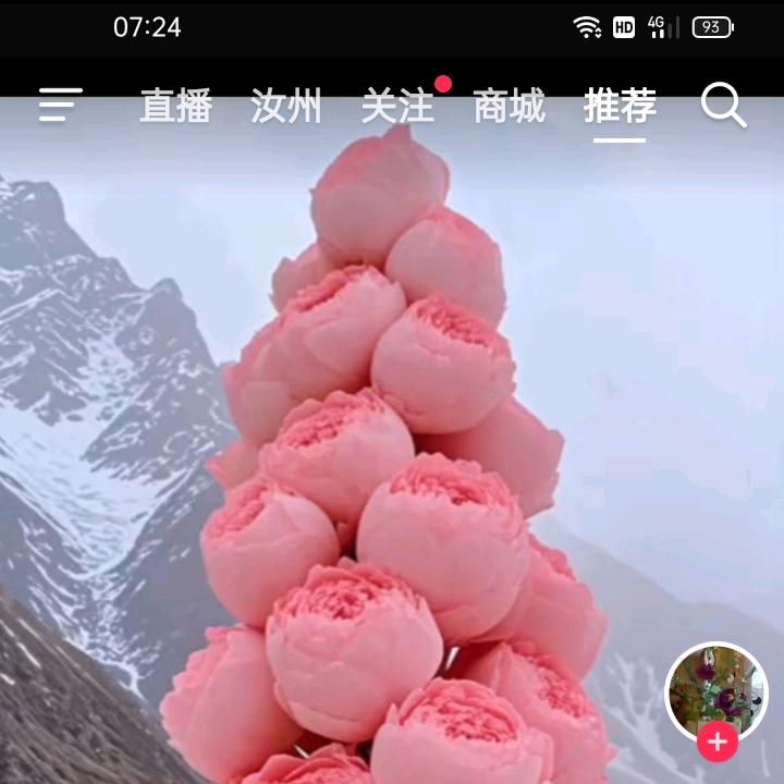 醉梦红尘