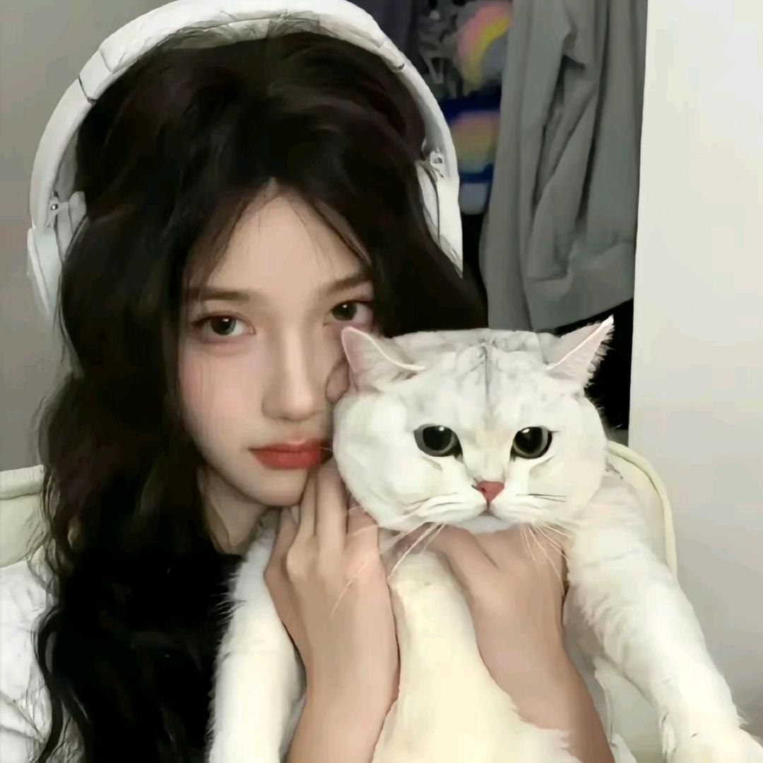 Yyyyyy