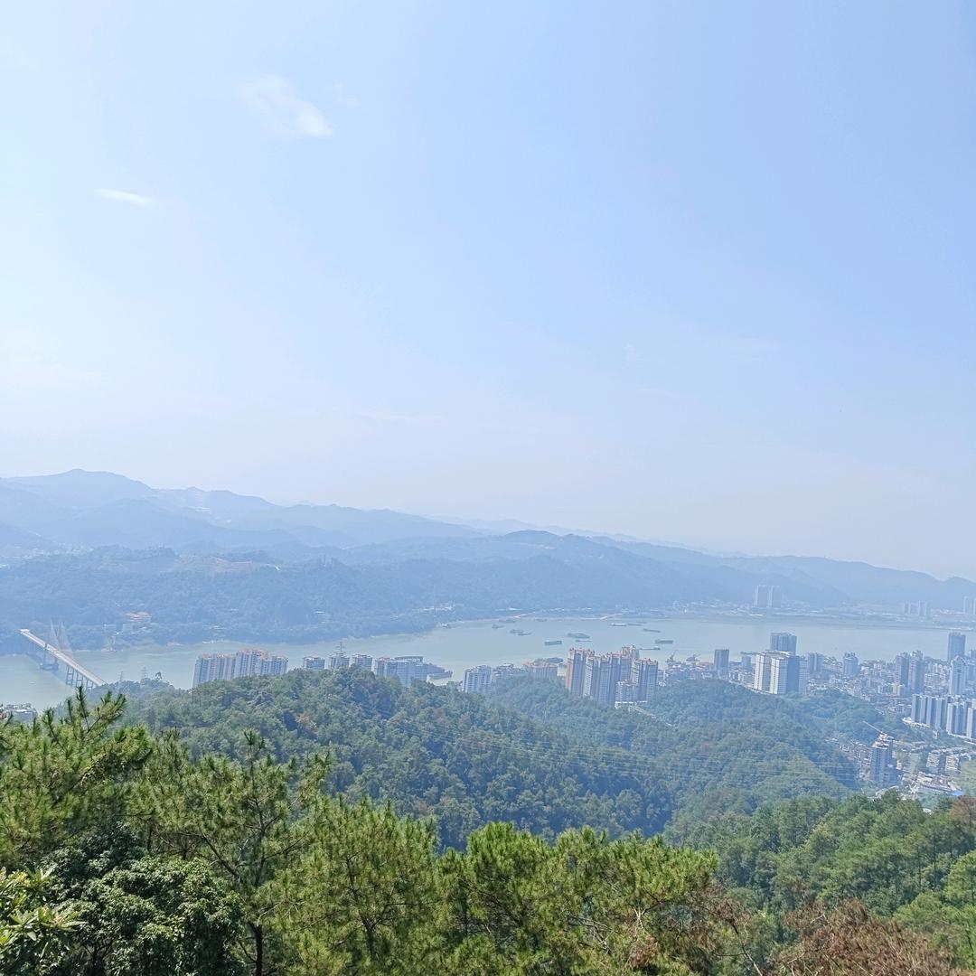🍃一月静好 🍃