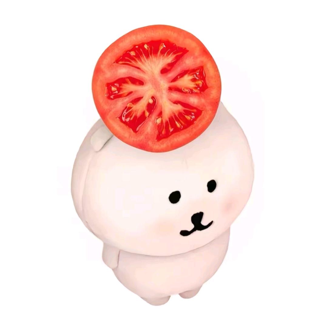 西红柿炒番茄