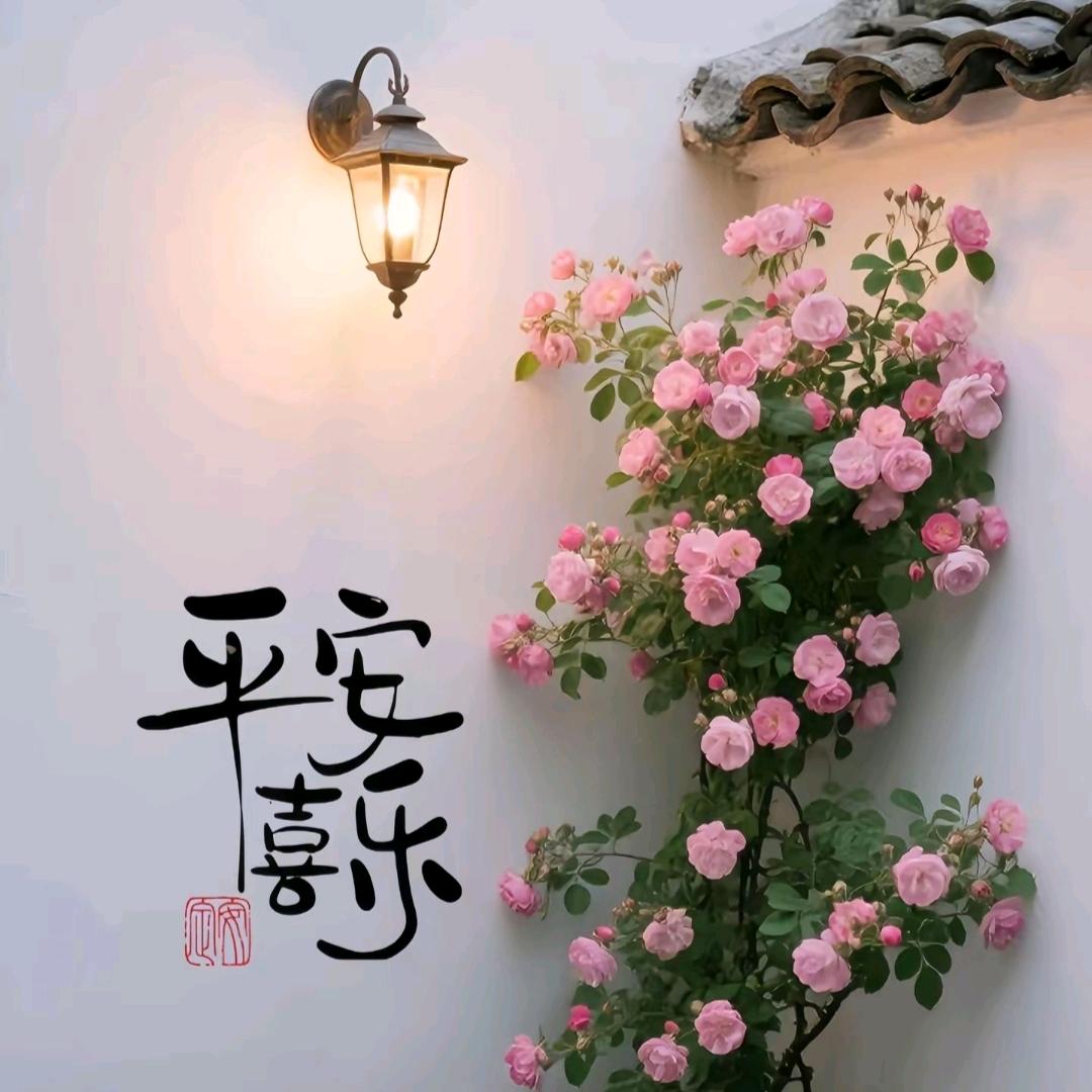 平安喜乐🌈