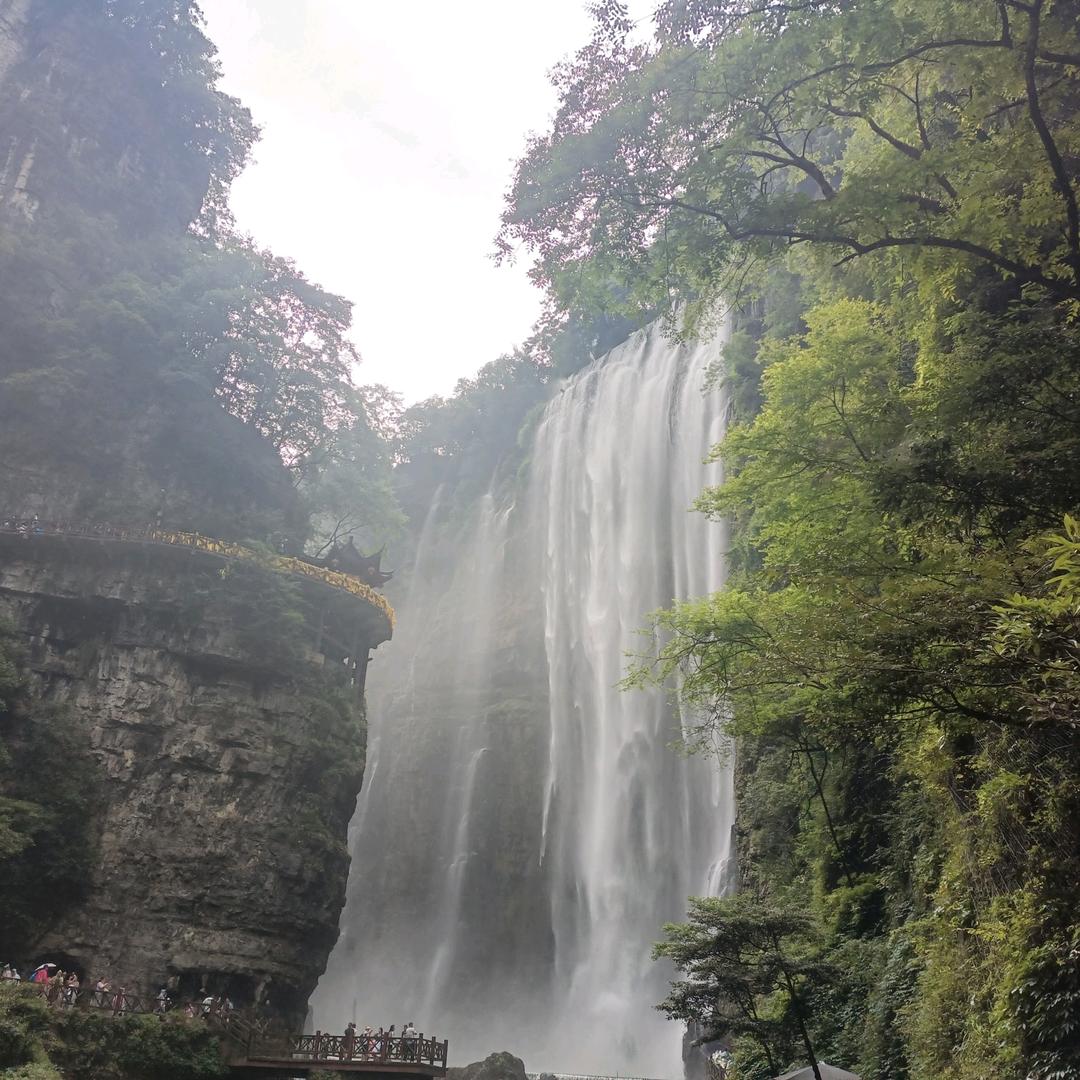 高山流水ZJ