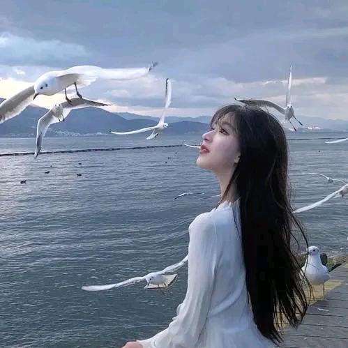 菲儿