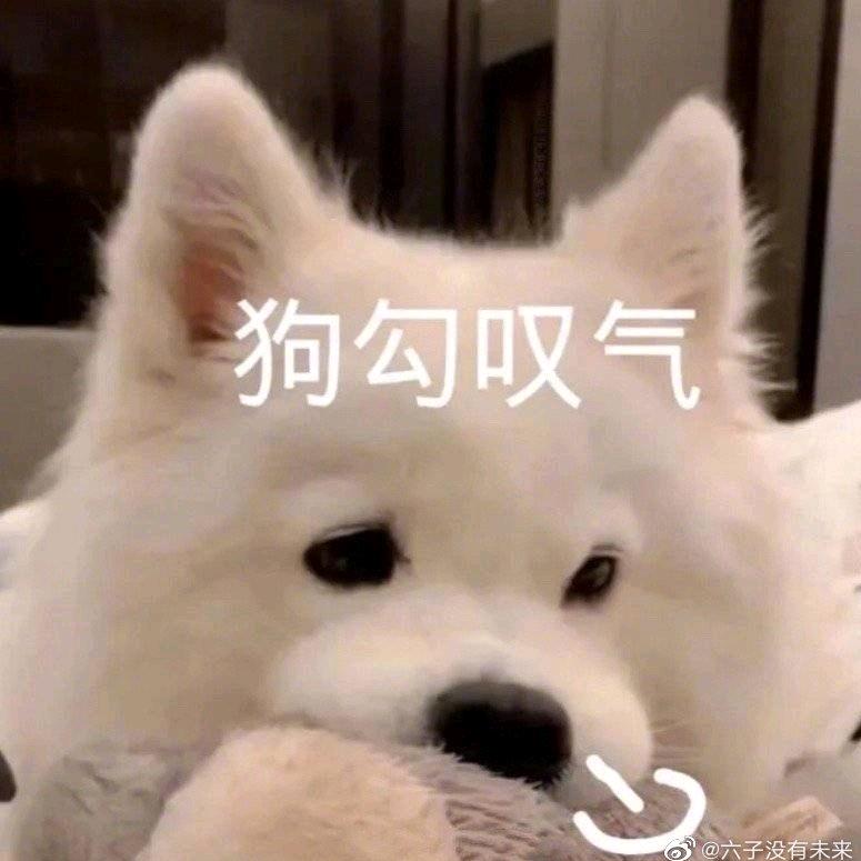 胖且从容的改造日记
