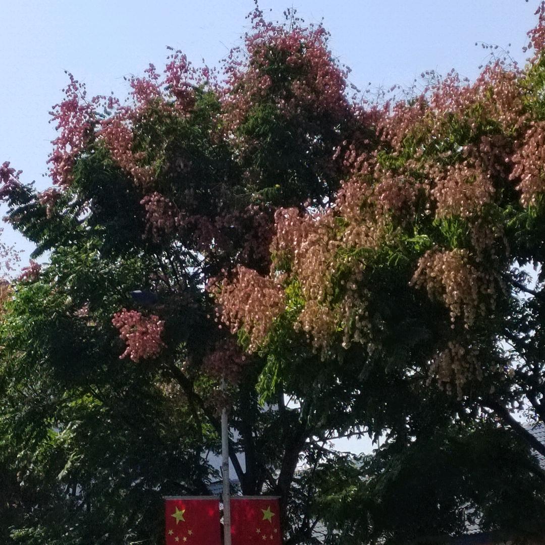 看🍀到🍀是🍀朋友👏🌹🌹🌹